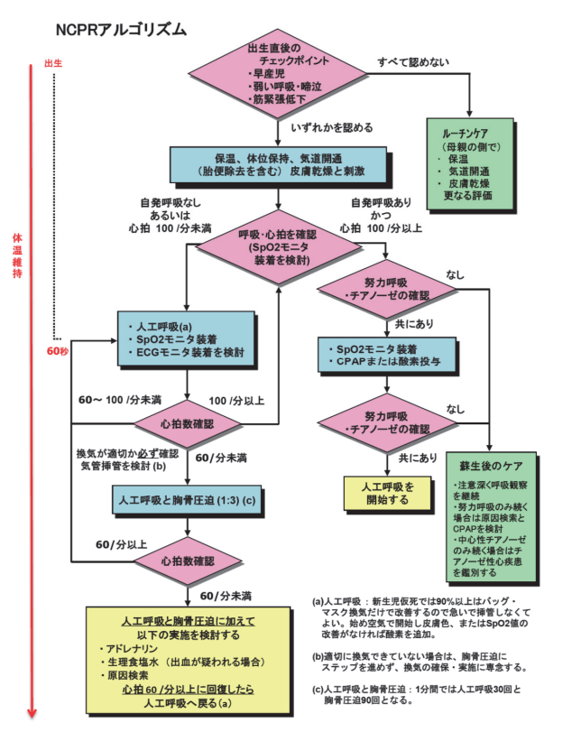 JRC蘇生ガイドライン2015オンライン版‐第4章 新生児の蘇生（NCPR）